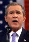 Herr Bush ist grantig